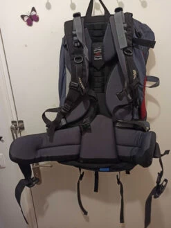 Sac De Randonnée Confortable - Deuter Sundance 65+10L - Rouge Gris -Magasin De Camping En Plein Air 241f2cbfd71cfa9d93d7b51724376b85