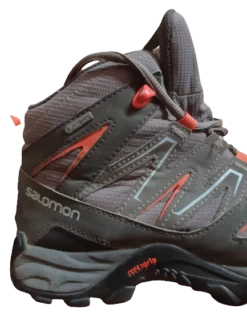 Salomon Robson Mid GTX