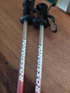 Bâtons De Marche -Magasin De Camping En Plein Air IMG 20211019 191515 oljm5elyE