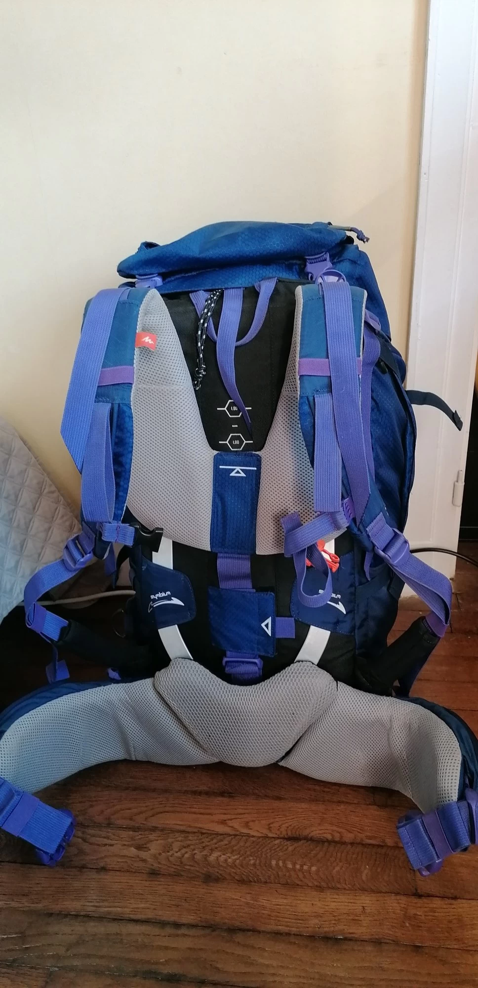 Sacs à Dos Quechua SYMBIUM ACCESS Violet 5 Sacs à Dos Quechua SYMBIUM ACCESS Violet – Image 3