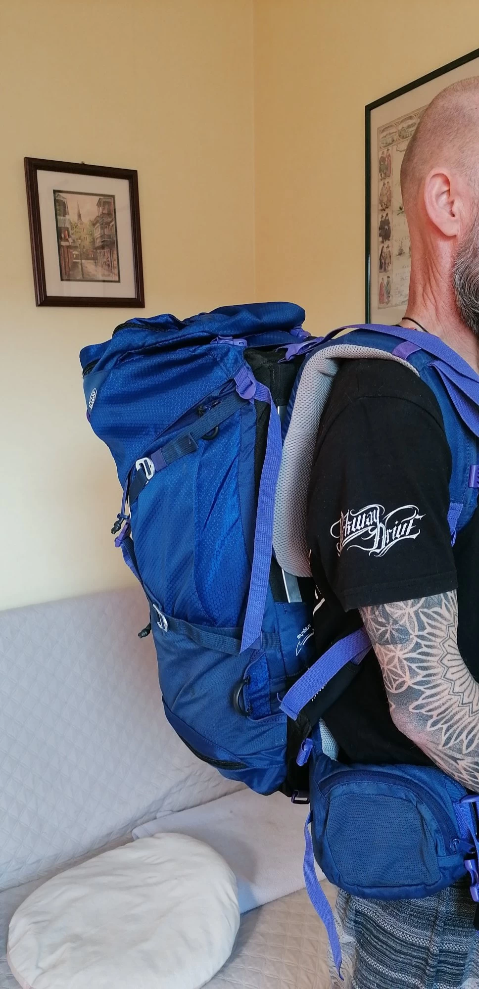 Sacs à Dos Quechua SYMBIUM ACCESS Violet 4 Sacs à Dos Quechua SYMBIUM ACCESS Violet – Image 2