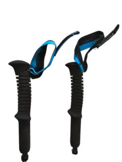 Bâton De Randonnée Black Diamond Carbon Z