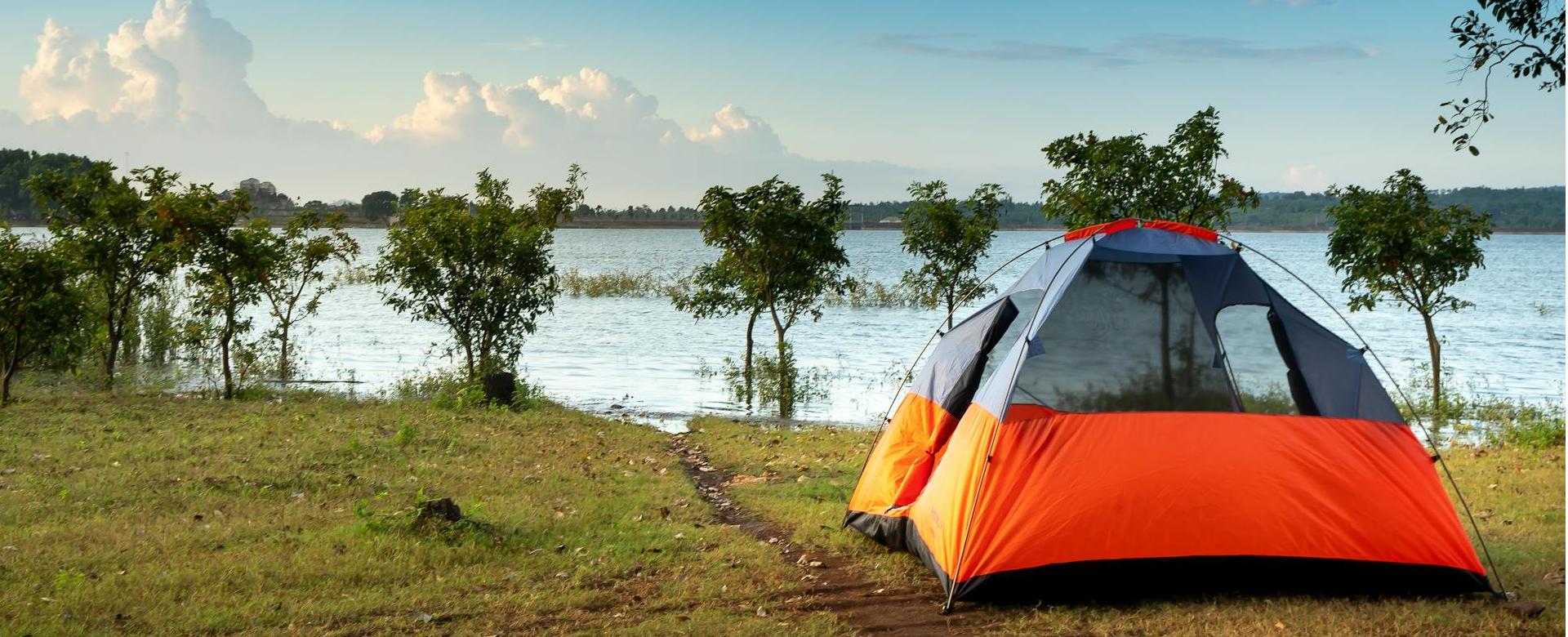 Magasin De Camping En Plein Air -Magasin De Camping En Plein Air pexels quang nguyen vinh 222549 2582818